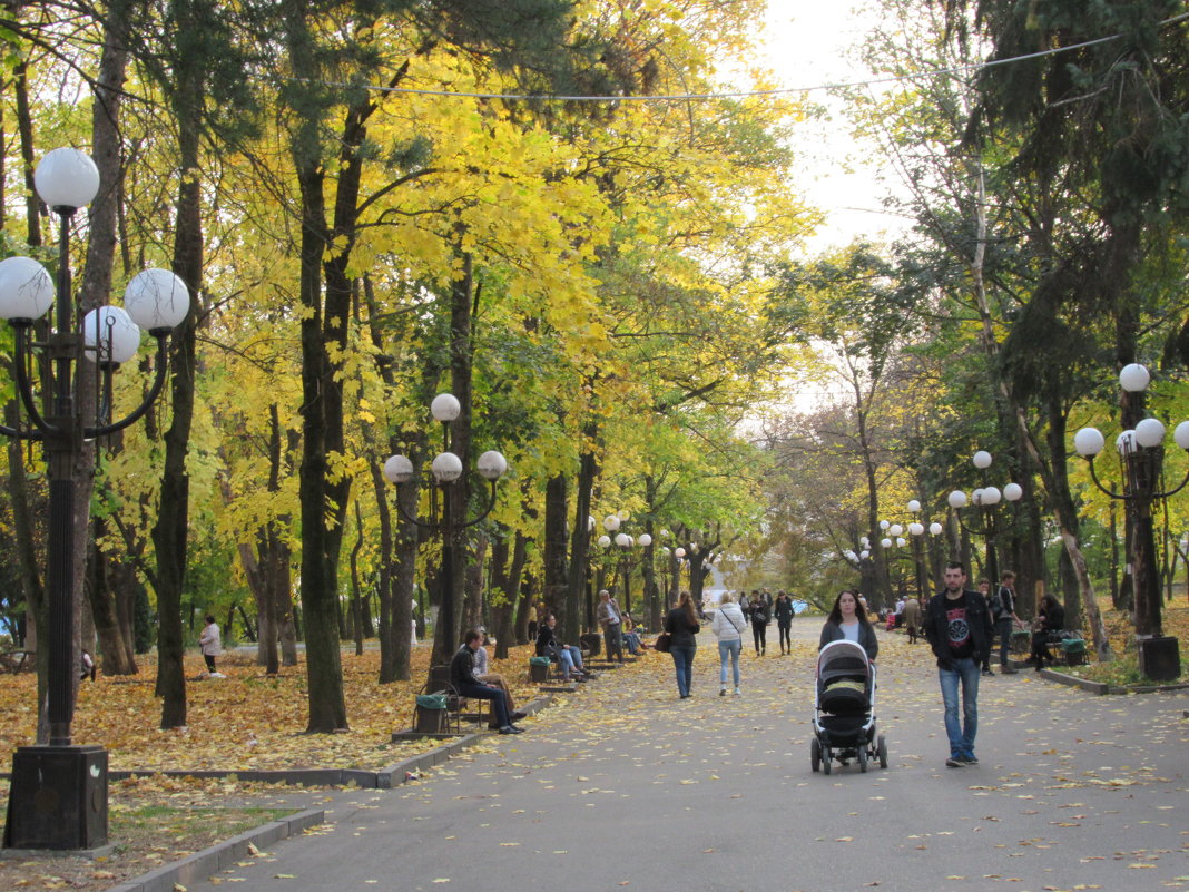 Фрагменты осеннего города. - Вячеслав Медведев