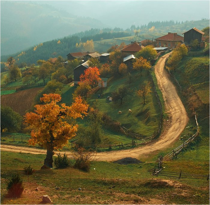 домой - Луиза Султанова