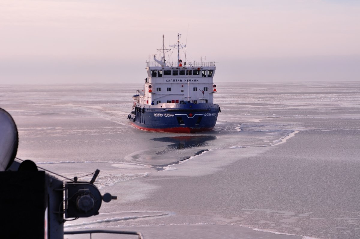 Ледокол Капитан Чечкин (Icebreaker Chechkin) - Дмитрий Олегович