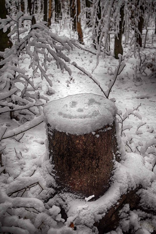 зимний юмор - юрий иванов зимний юмор - юрий иванов