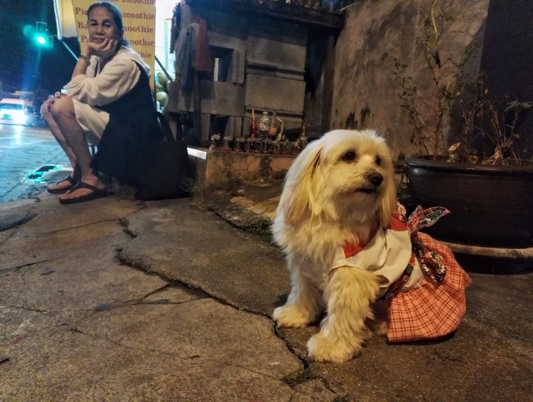 Бог дал мне 2 сына и ни одной дочки... - liudmila drake Бог дал мне 2 сына и ни одной дочки... - liudmila drake