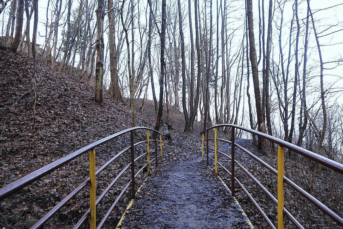 Дорожка к морю - Маргарита Батырева