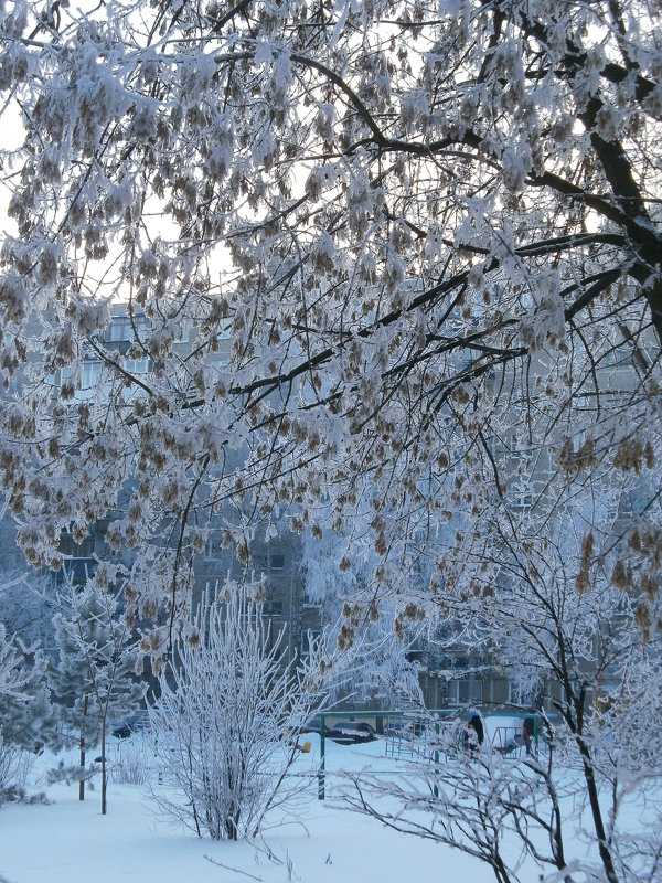 Январь ... - Алёна Савина