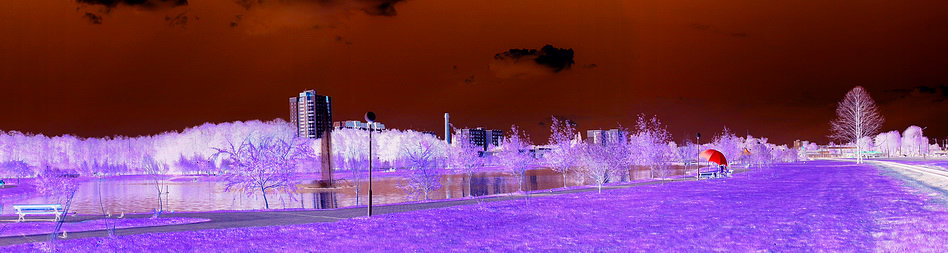 * - Сергей Землянский