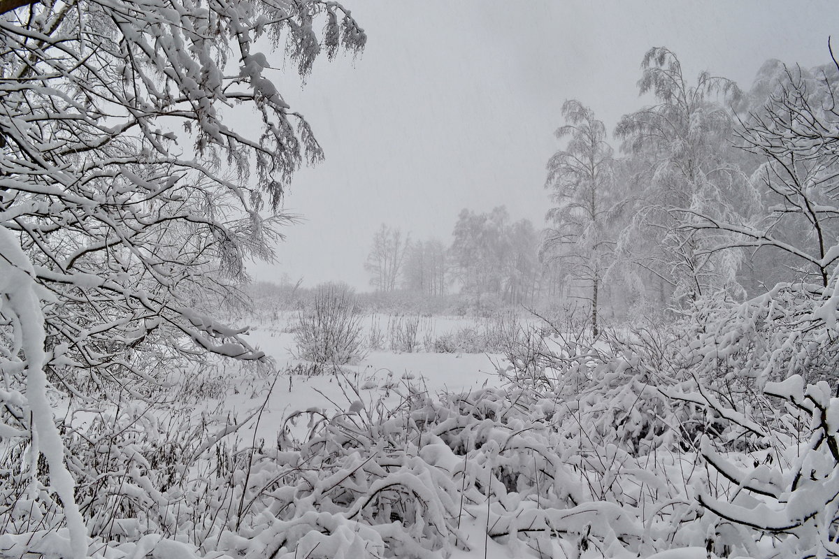 ..... - Victor ..... - Victor