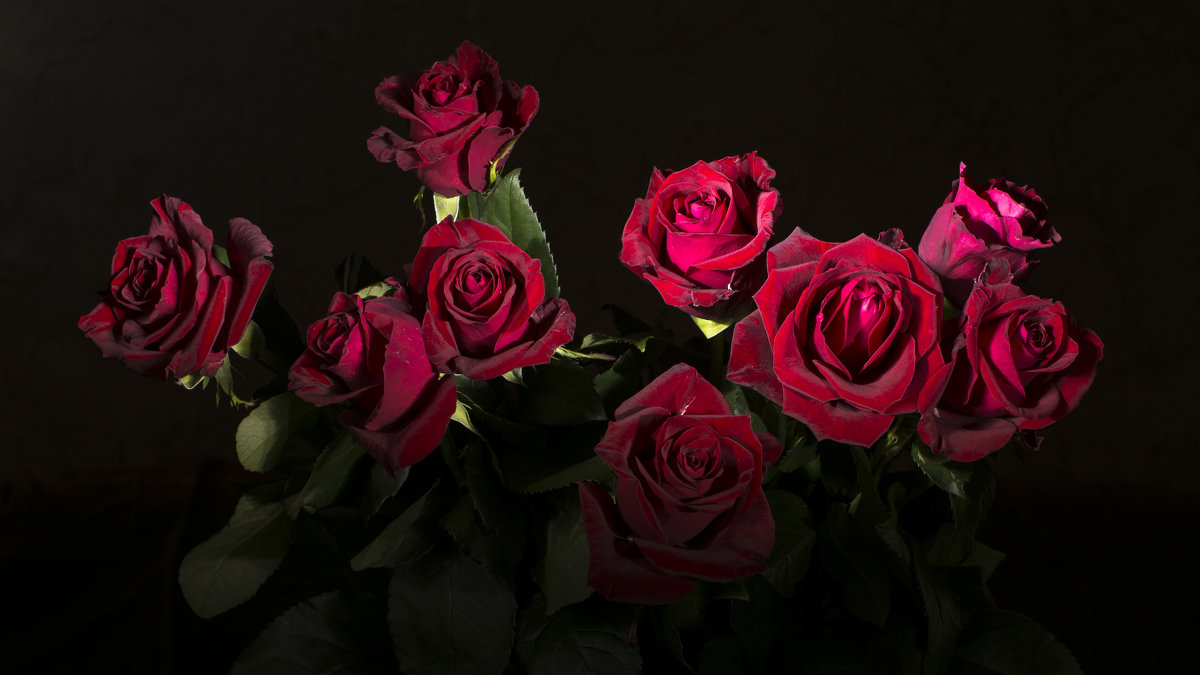 Девять роз - Александр Соболев