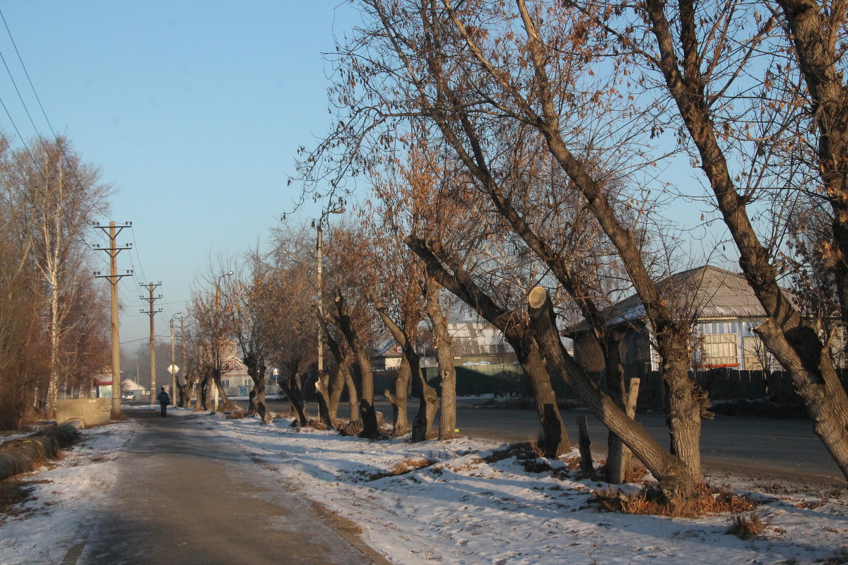 Карасук - Олег Афанасьевич Сергеев