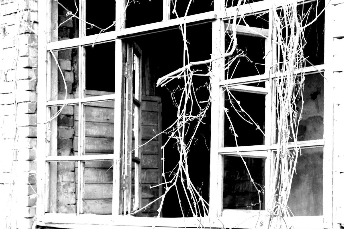 Старые окна - Юлия Сорочихина