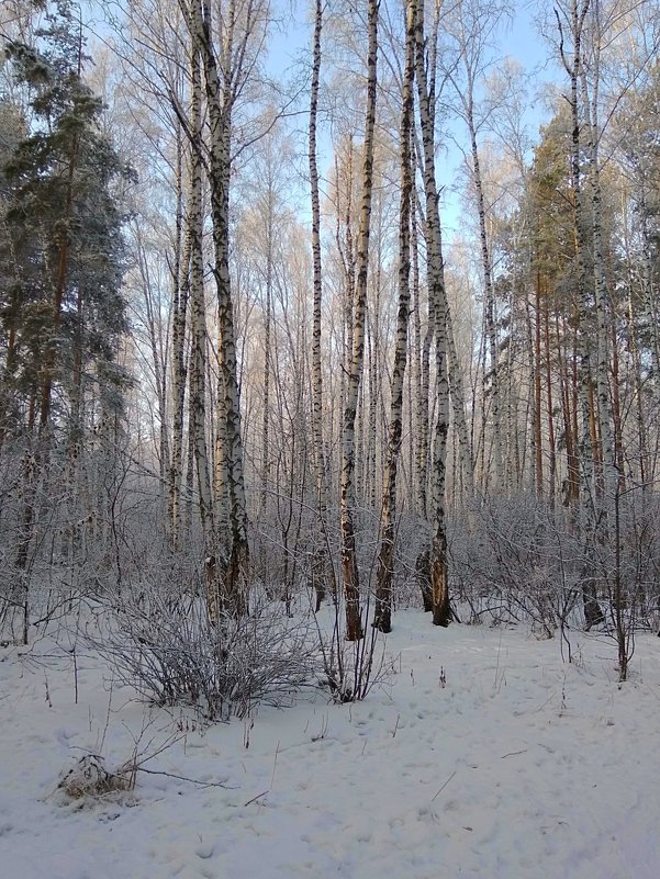 Сейчас февраль, красиво, белоснежно ... Сейчас февраль, снежок кружится нежно… - Татьяна Котельникова