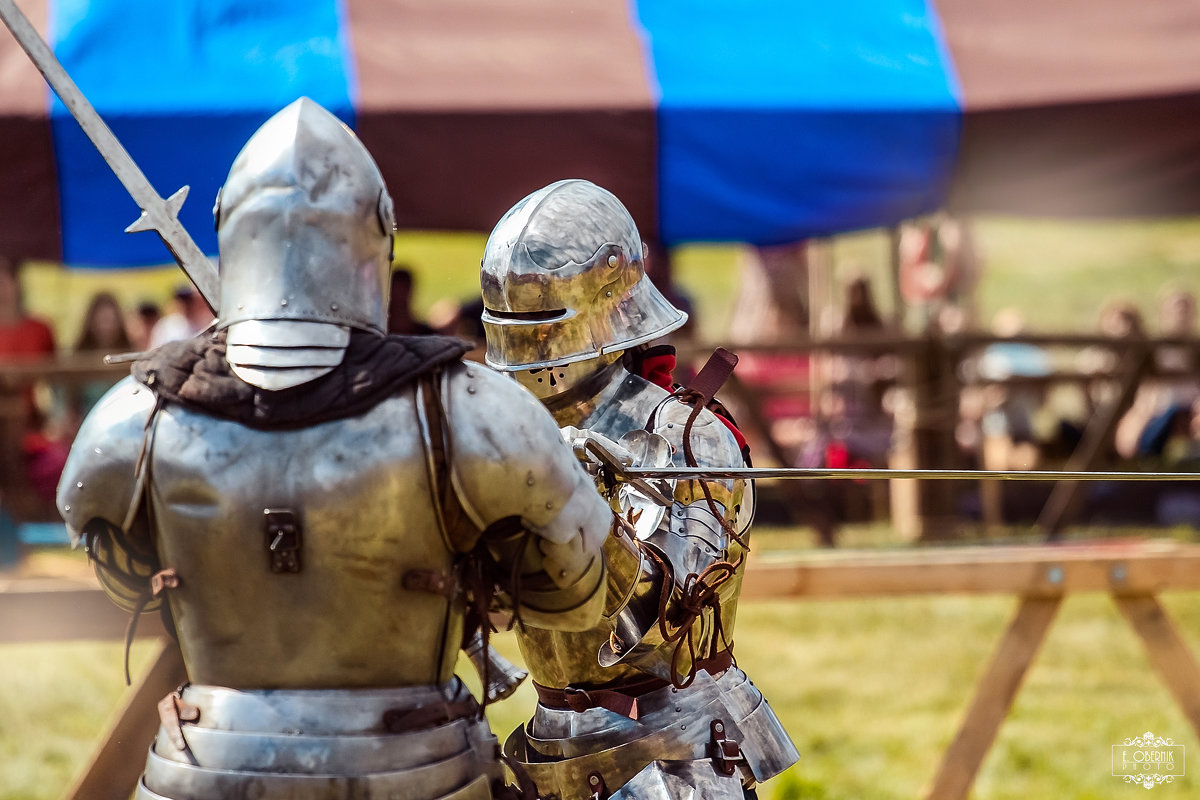 Поединок на двуручных мечах - Елена Оберник Поединок на двуручных мечах - Елена Оберник