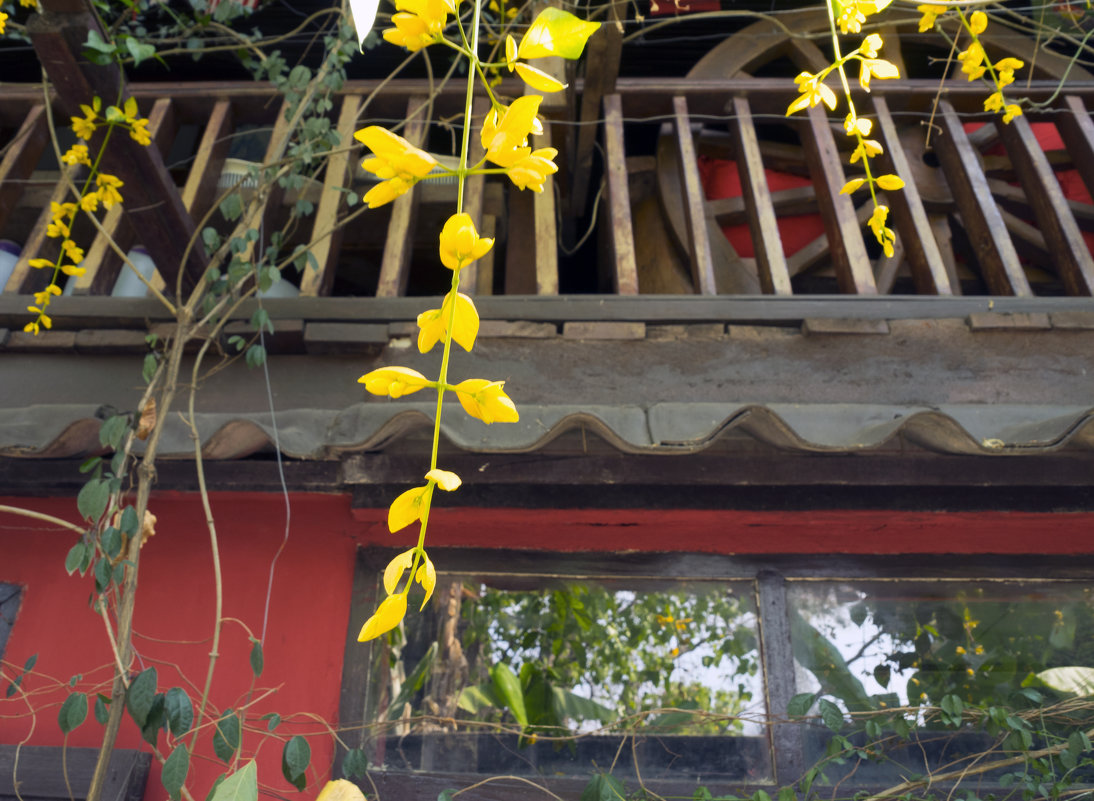 Таиланд, разное (2) - Владимир Шибинский Таиланд, разное (2) - Владимир Шибинский