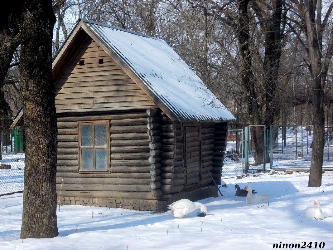 Избушка в ростовском зоопарке - Нина Бутко