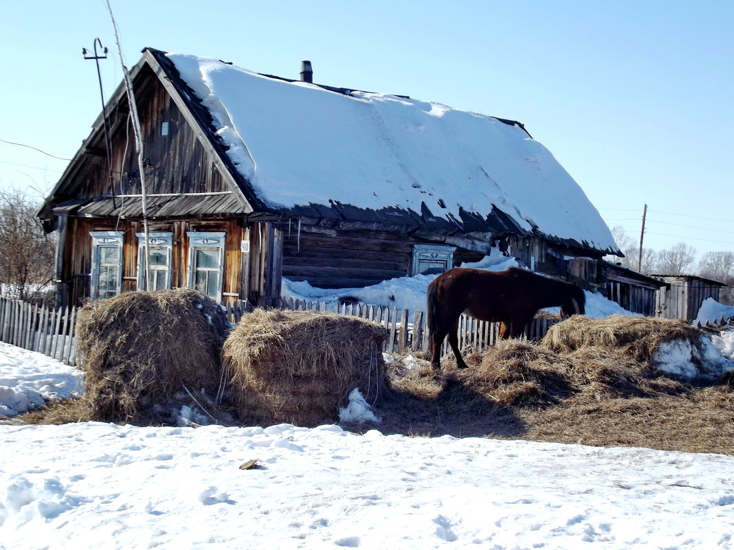 Деревенский дом - Светлана Рябова-Шатунова