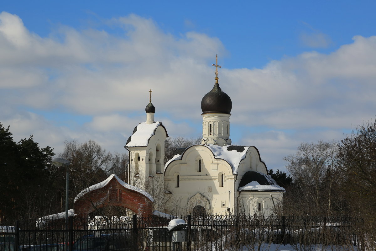 Переделкино - Ninell Nikitina