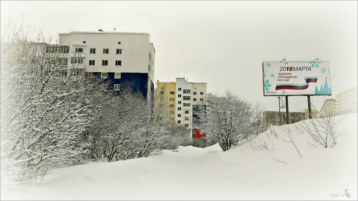 Арктика. Все на выборах.. - Кай-8 (Ярослав) Забелин