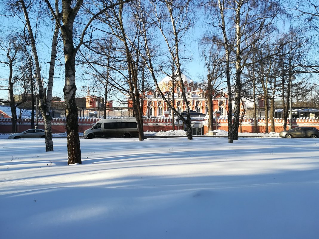 Петровский парк - Владимир Прокофьев