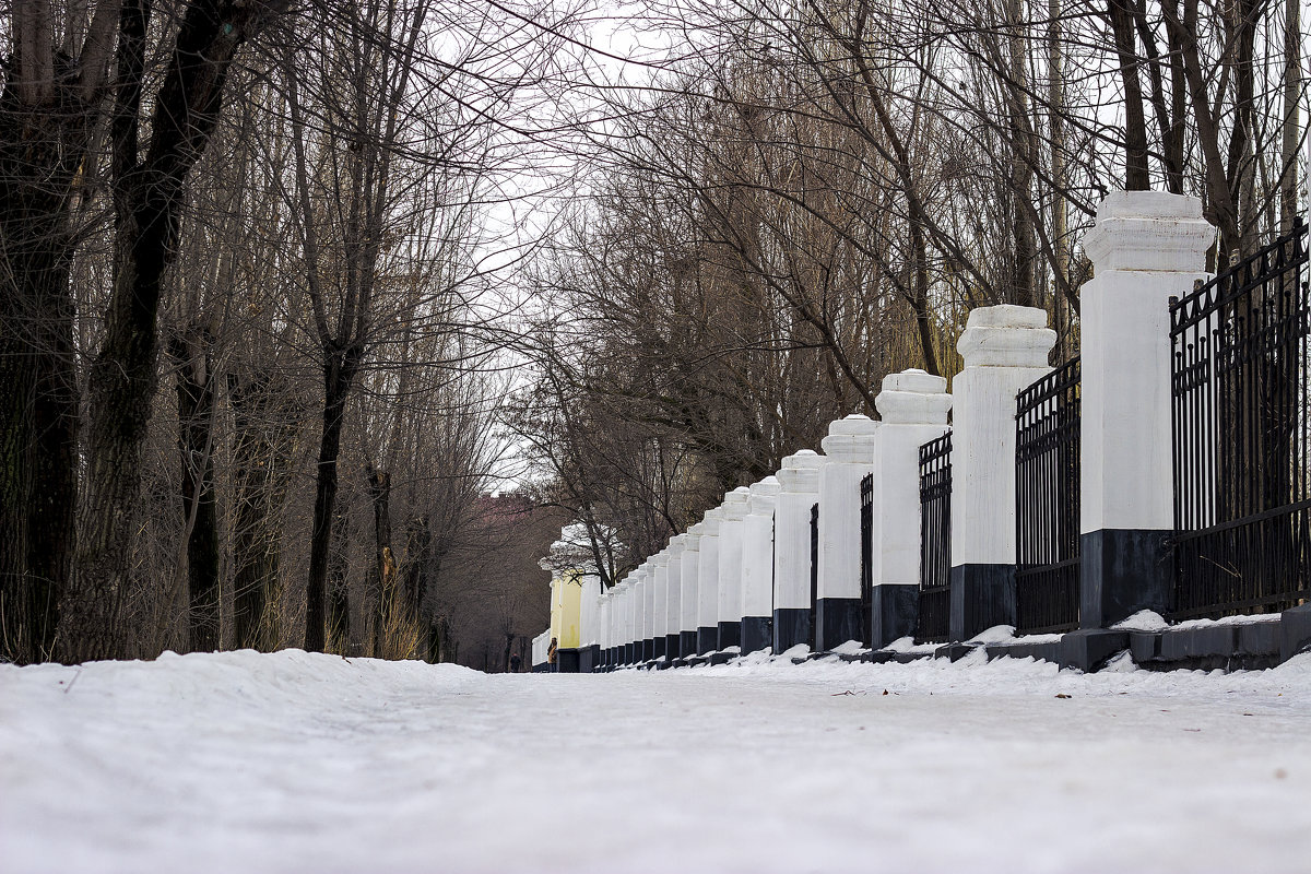 У парка - Аркадий Баринов