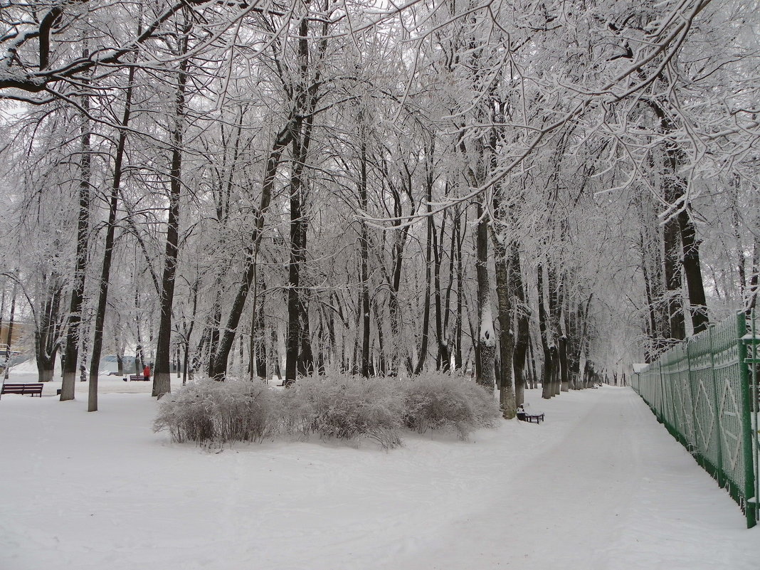 В парке городском . - Святец Вячеслав 