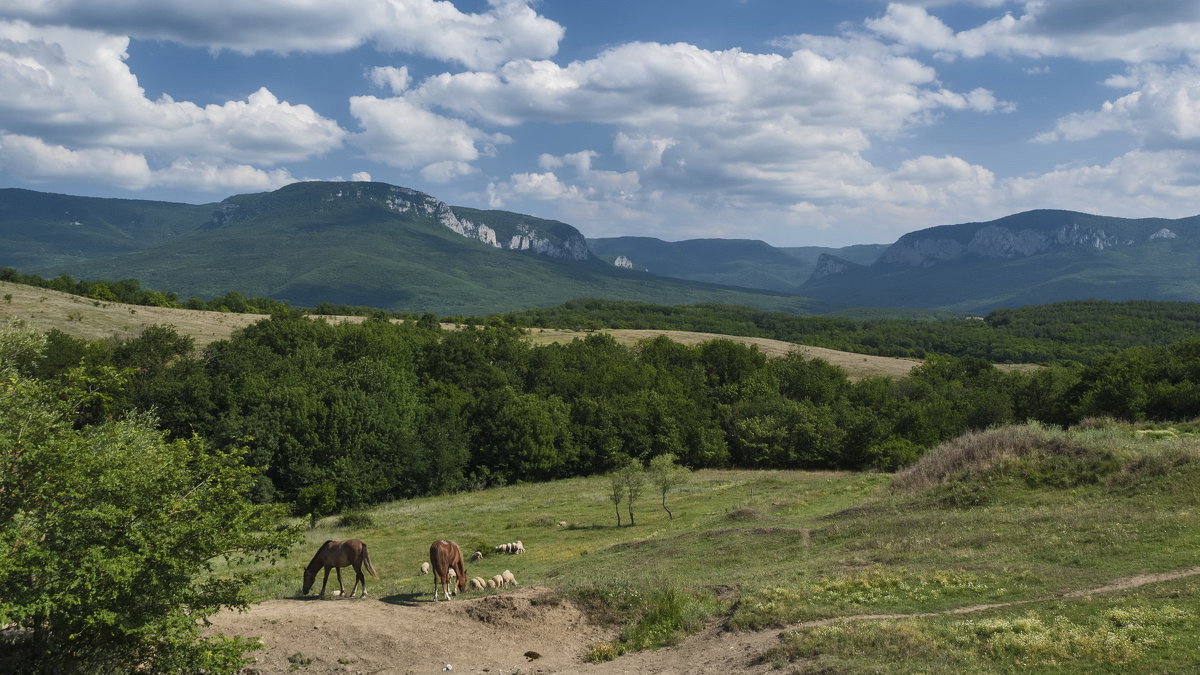 Крымская пастораль - Игорь Кузьмин