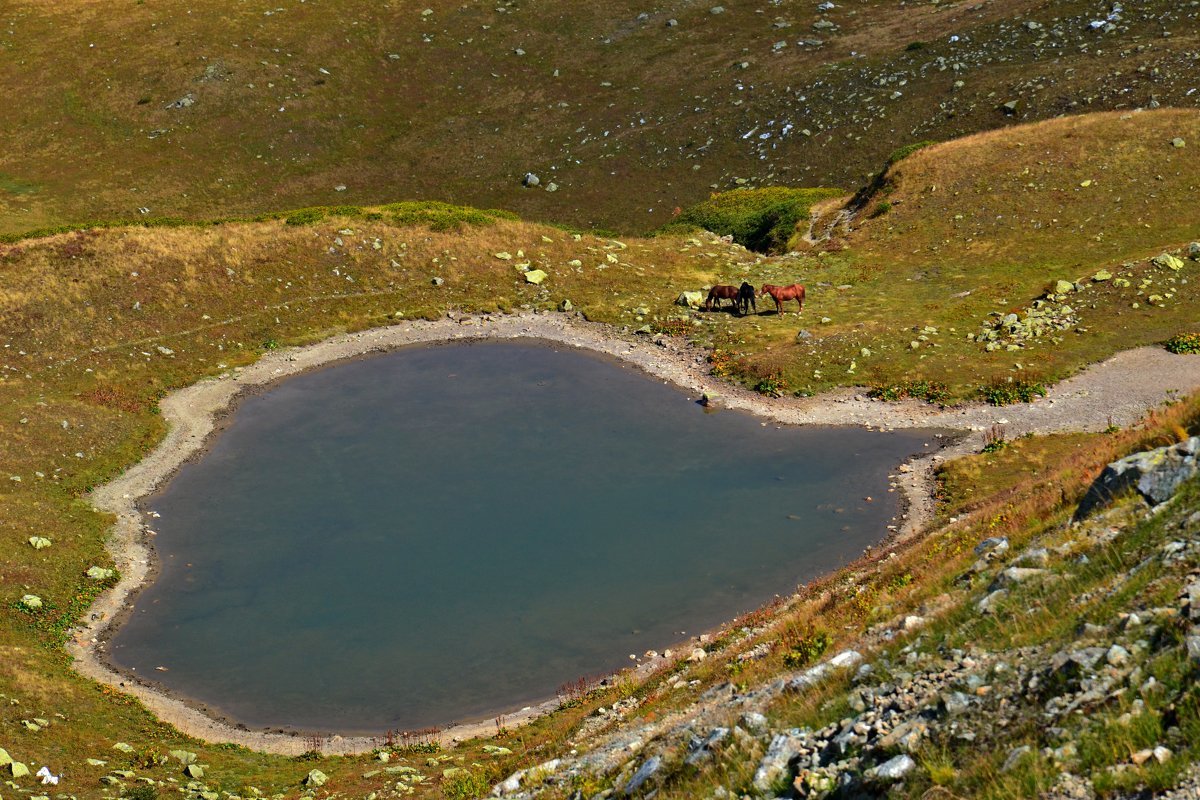 ОЗЕРО - Виктор Осипчук