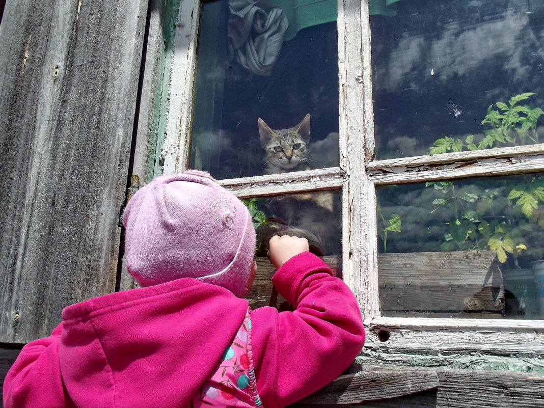 Эй, Дашка, слезь с рассады! - Светлана Рябова-Шатунова