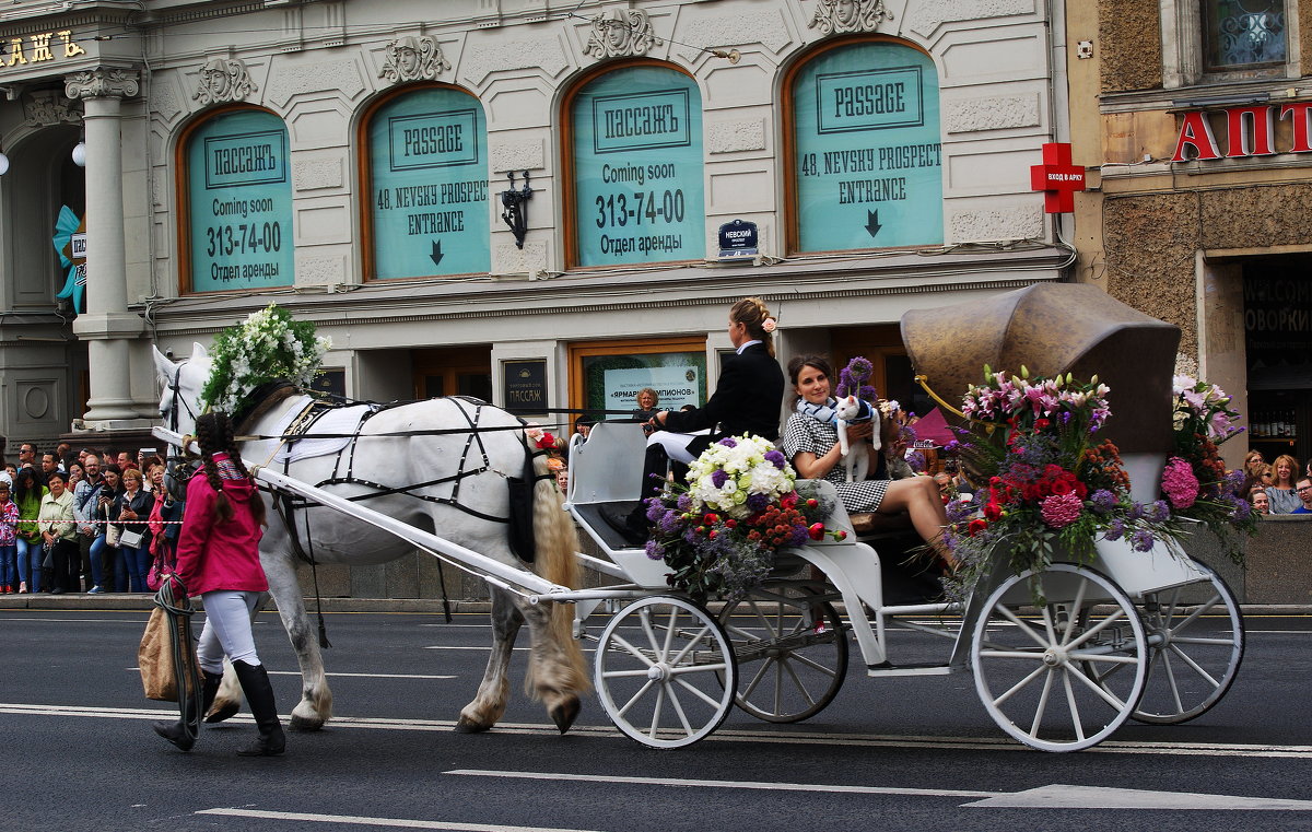 Фестиваль ЦВЕТОВ /1/ - Виктор Никитенко Фестиваль ЦВЕТОВ /1/ - Виктор Никитенко