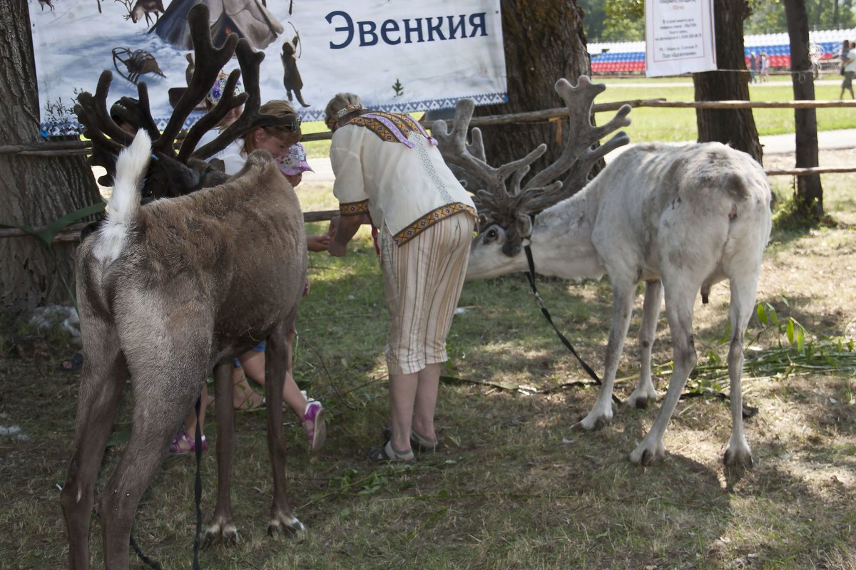 Фестиваль МИР СИБИРИ 2018 Шушенское - Виктор 