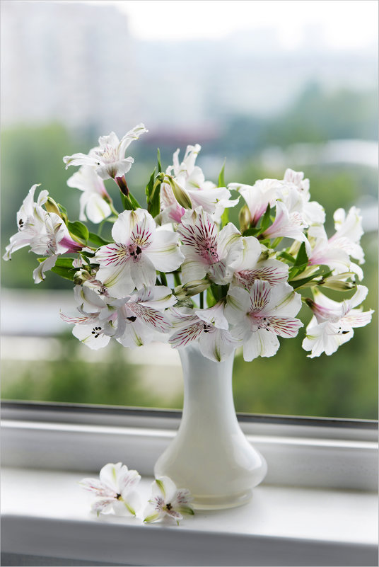 *** - Наталья Котова *** - Наталья Котова