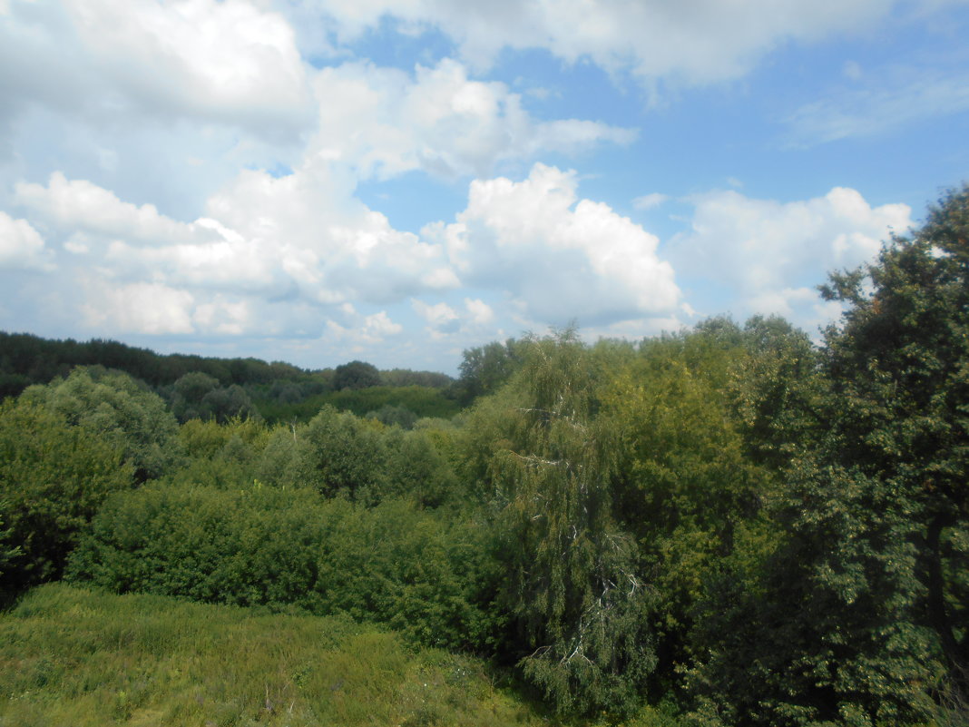 Облака и зелень ( фотоэтюд ) - Tarka 