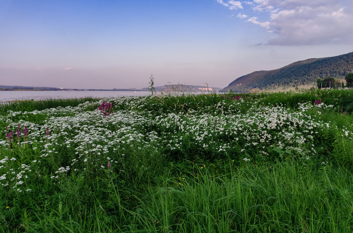 ... - Олег Архипов
