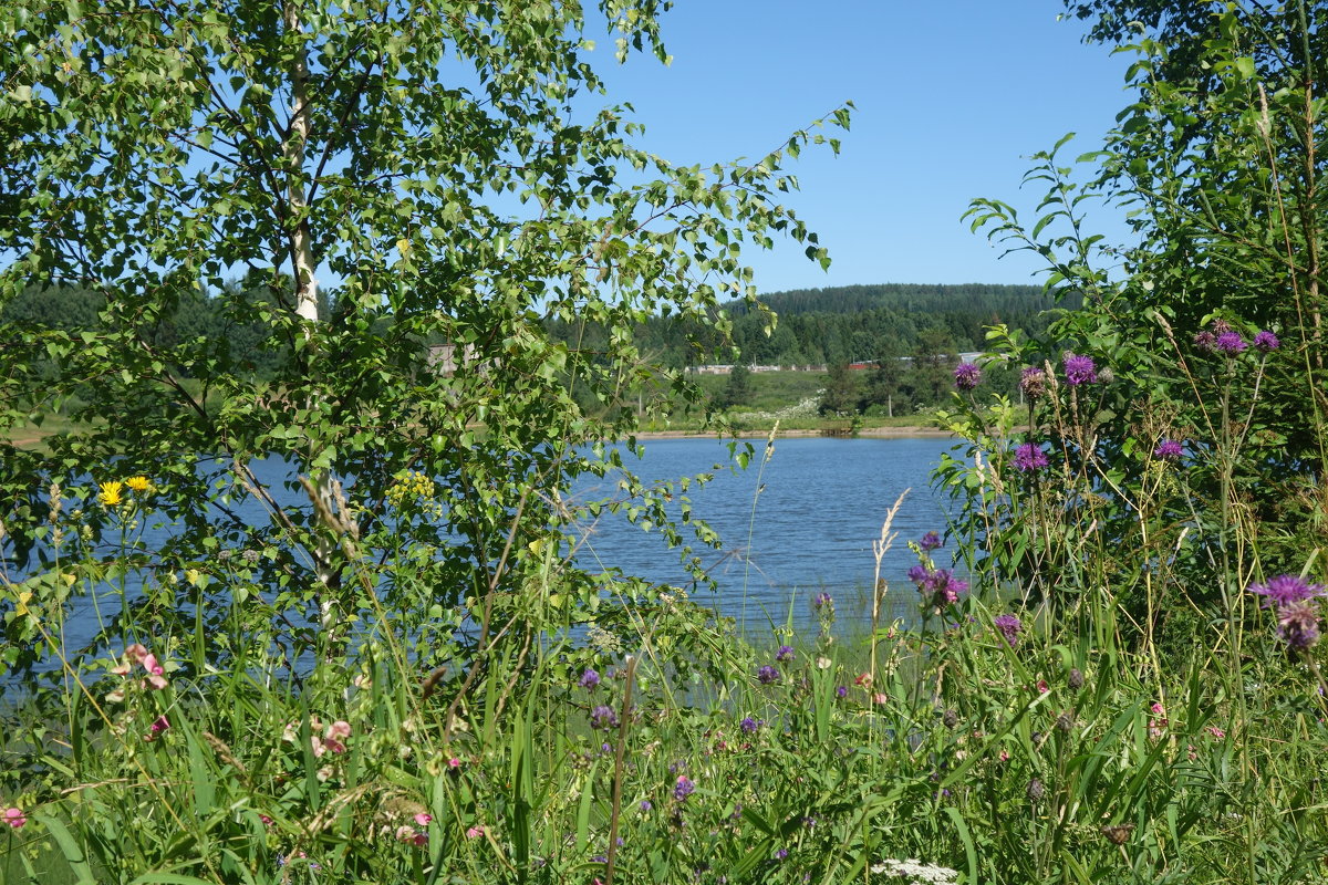 Июль - Екатерина Запольских Июль - Екатерина Запольских