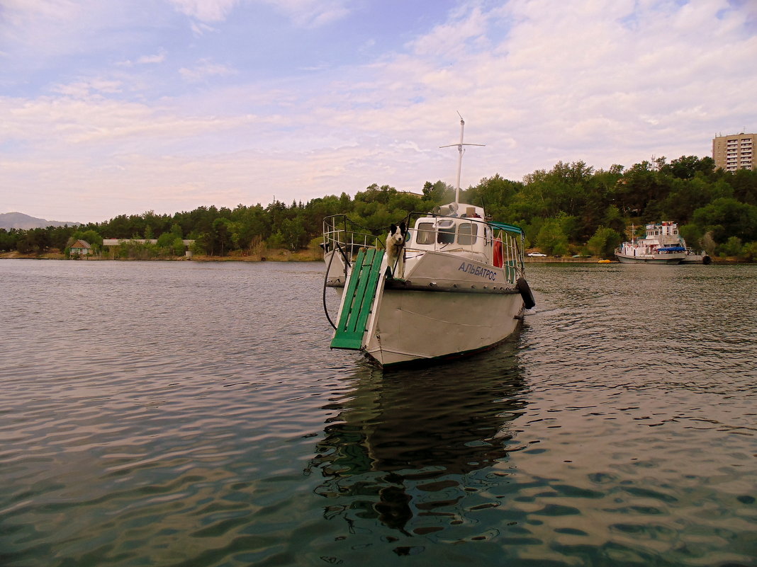 Пароходик с морячкой . - Мила Бовкун Пароходик с морячкой . - Мила Бовкун