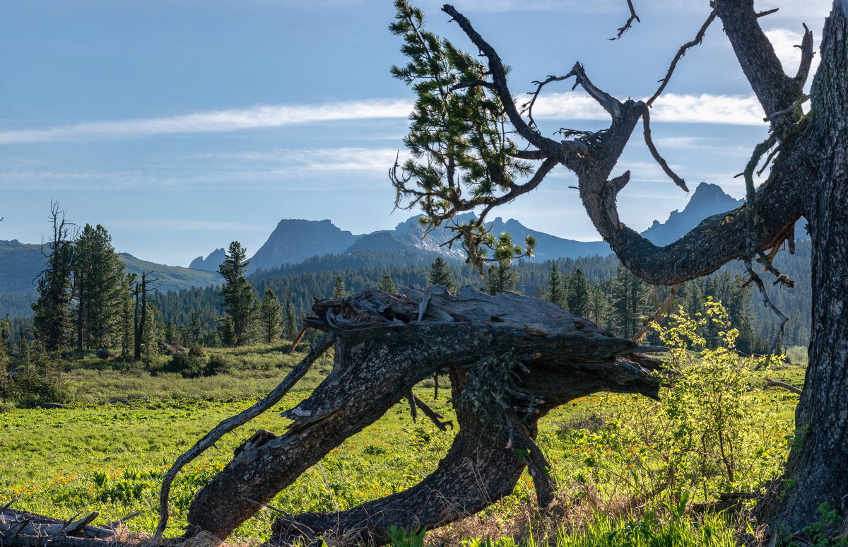 Ергаки - Ник Васильев