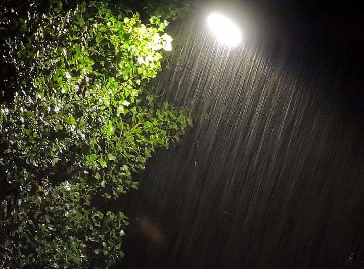 Дождь - Люба Вылывана