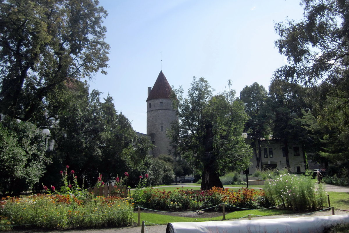 В парке на площади Башен у стен Старого города - veera v