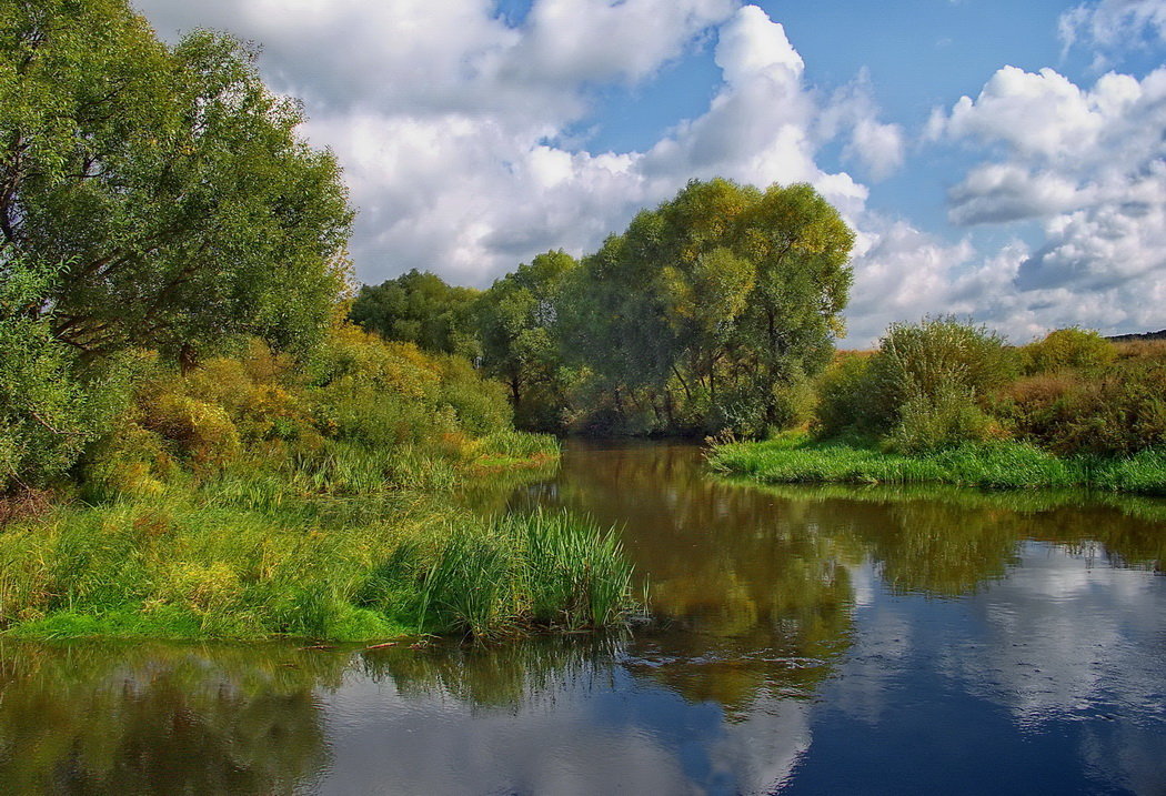 Сентября тревожное начало... - Лесо-Вед (Баранов) Сентября тревожное начало... - Лесо-Вед (Баранов)