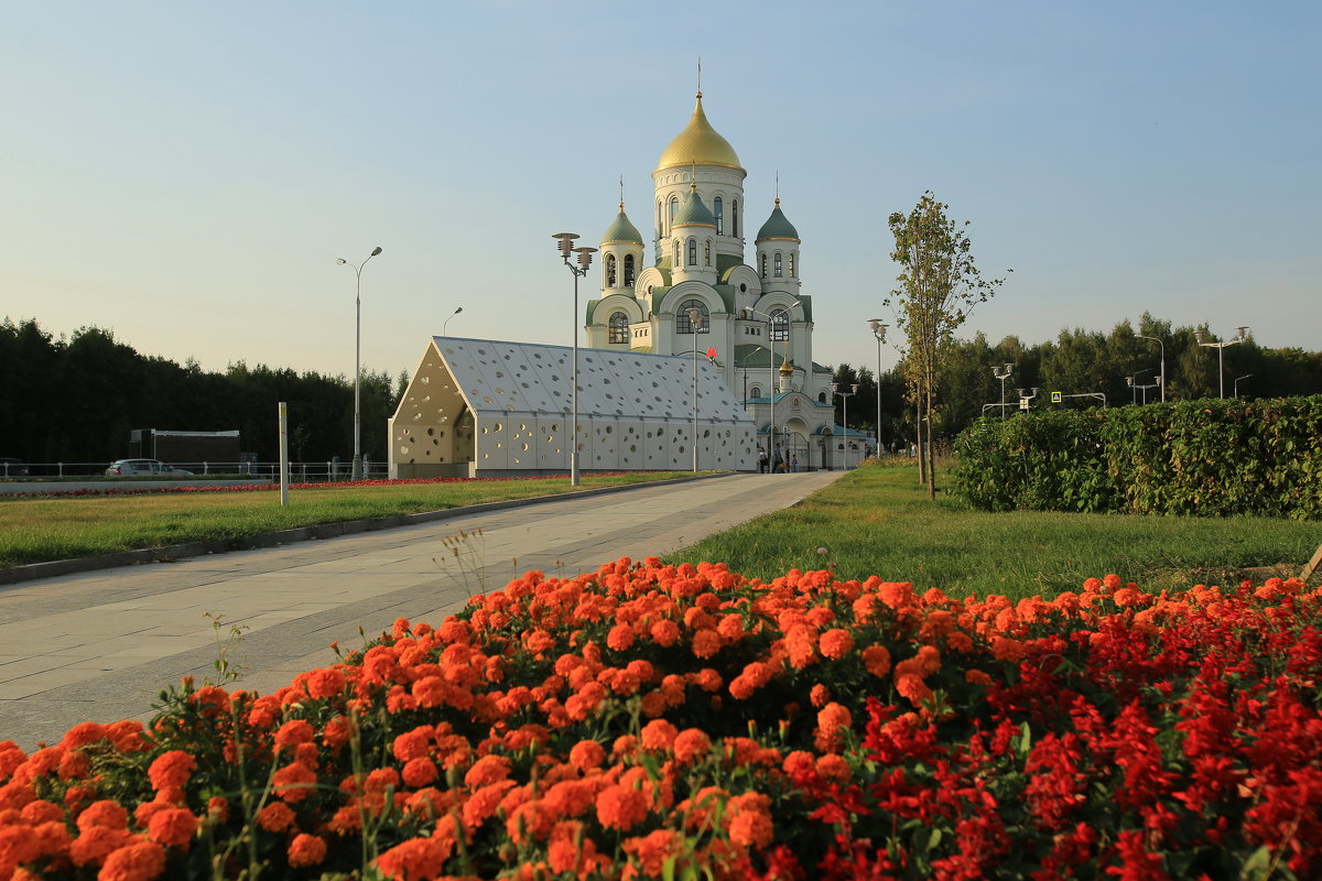 Солнцево - Ninell Nikitina