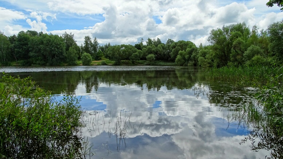 Озёра Смоленщины (из поездок по области) - Милешкин Владимир Алексеевич 