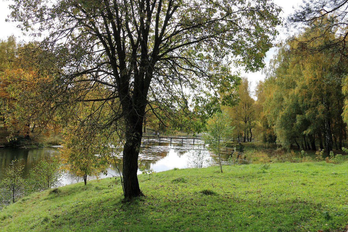 осень - Владимир Холодницкий