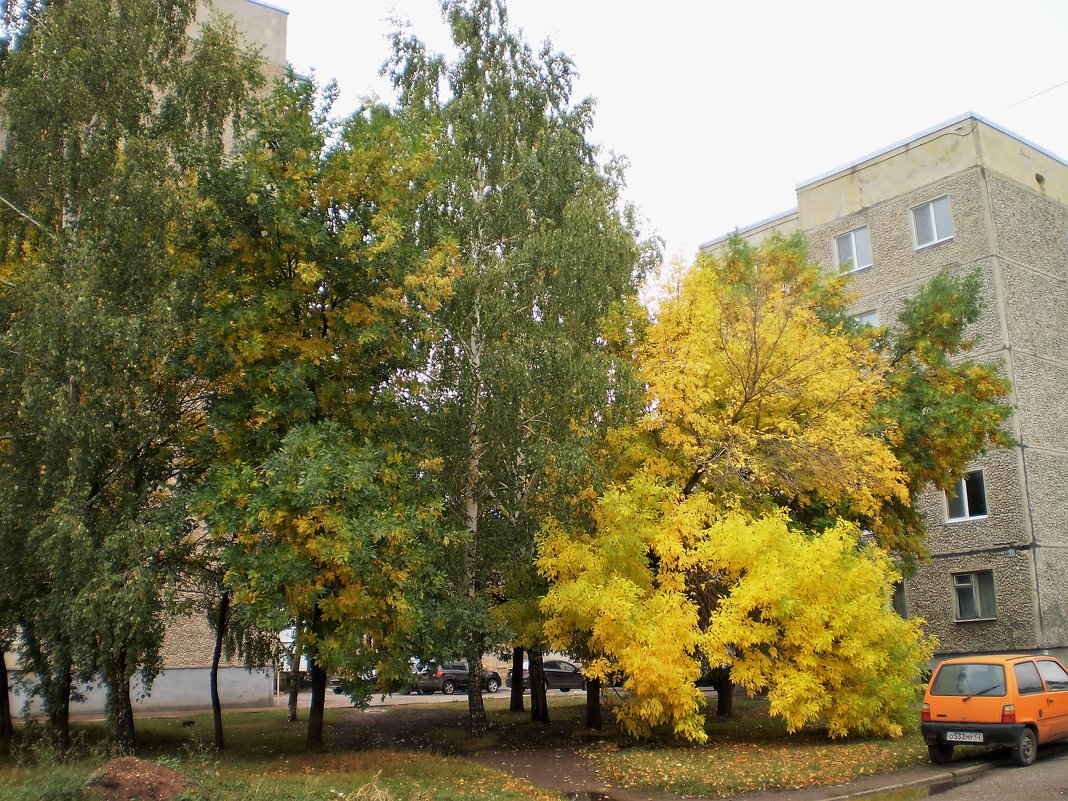 Осень. - Венера Чуйкова