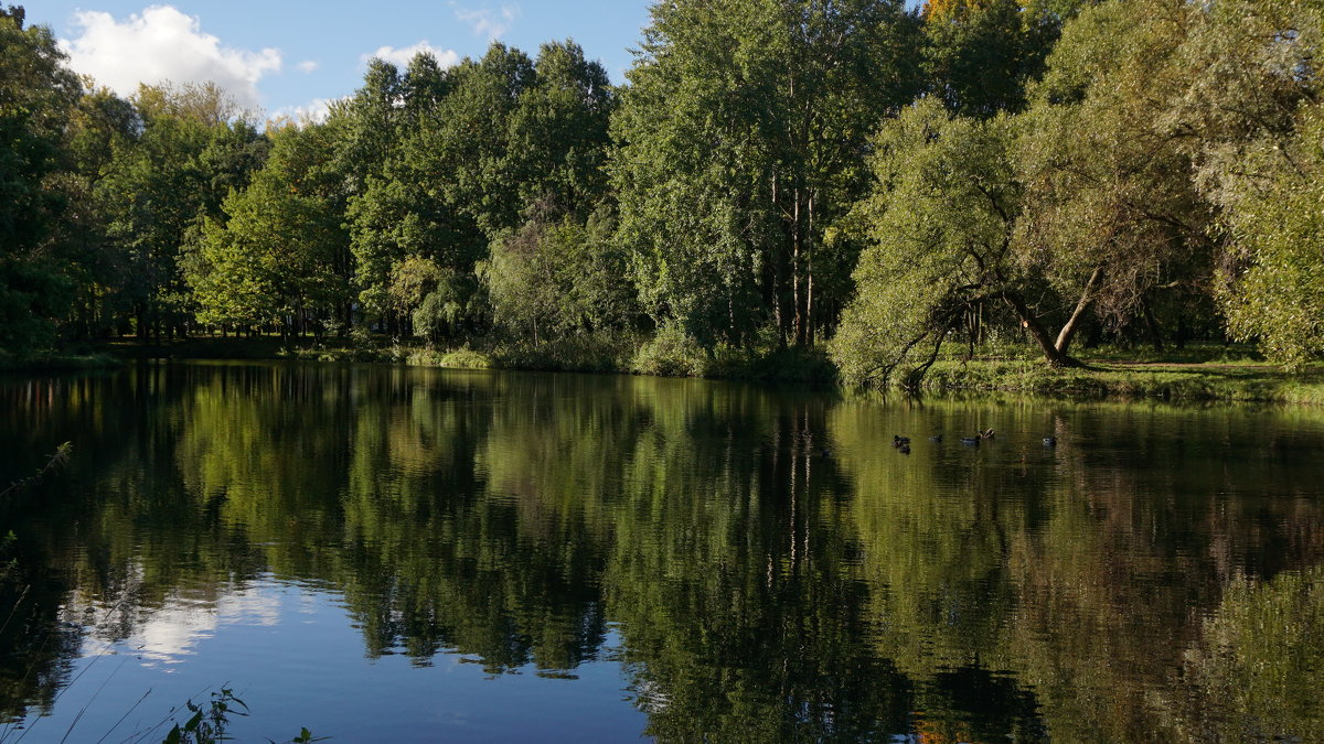 ... - Владимир Гилясев