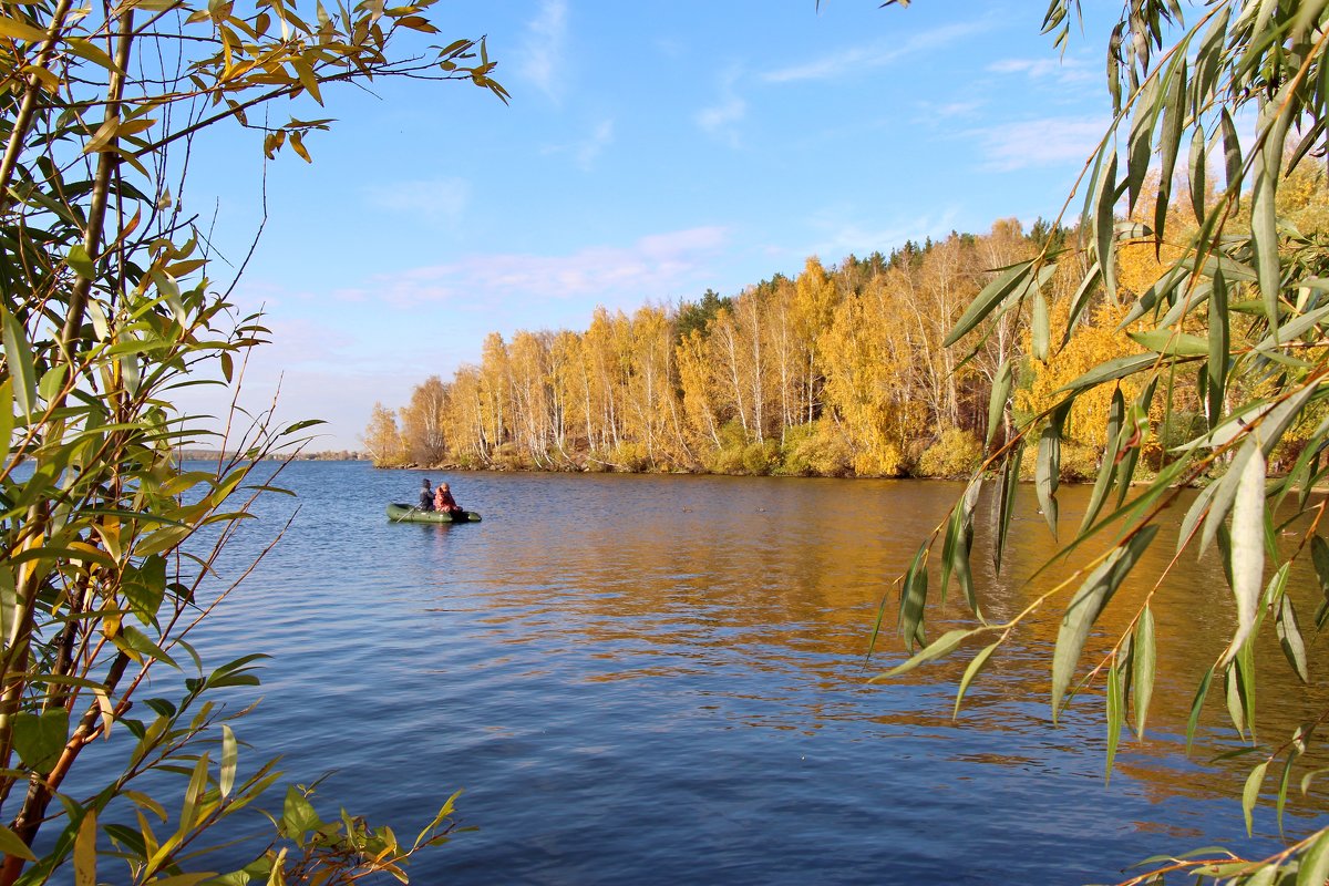 Заплыли в осень - Елена Викторова 