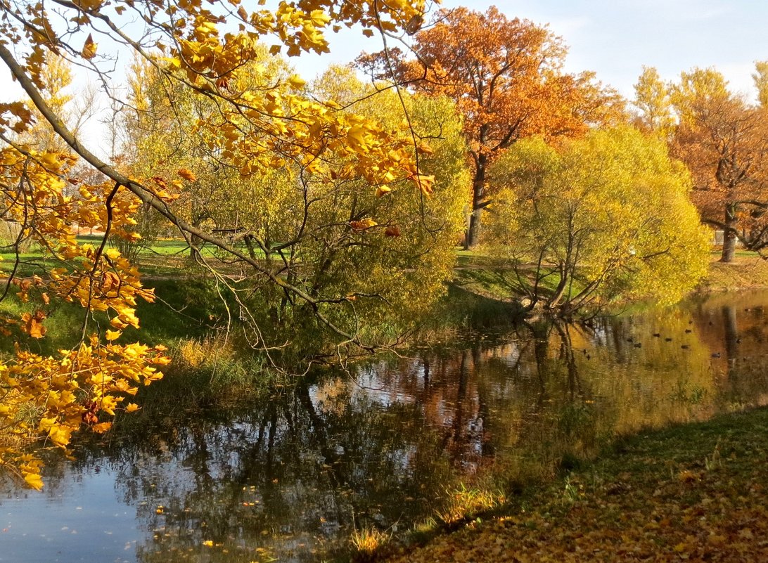 В Царском Селе - Елена В Царском Селе - Елена