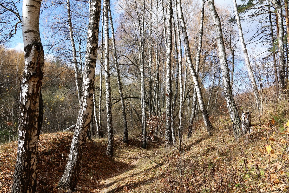 осень - Владимир Холодницкий