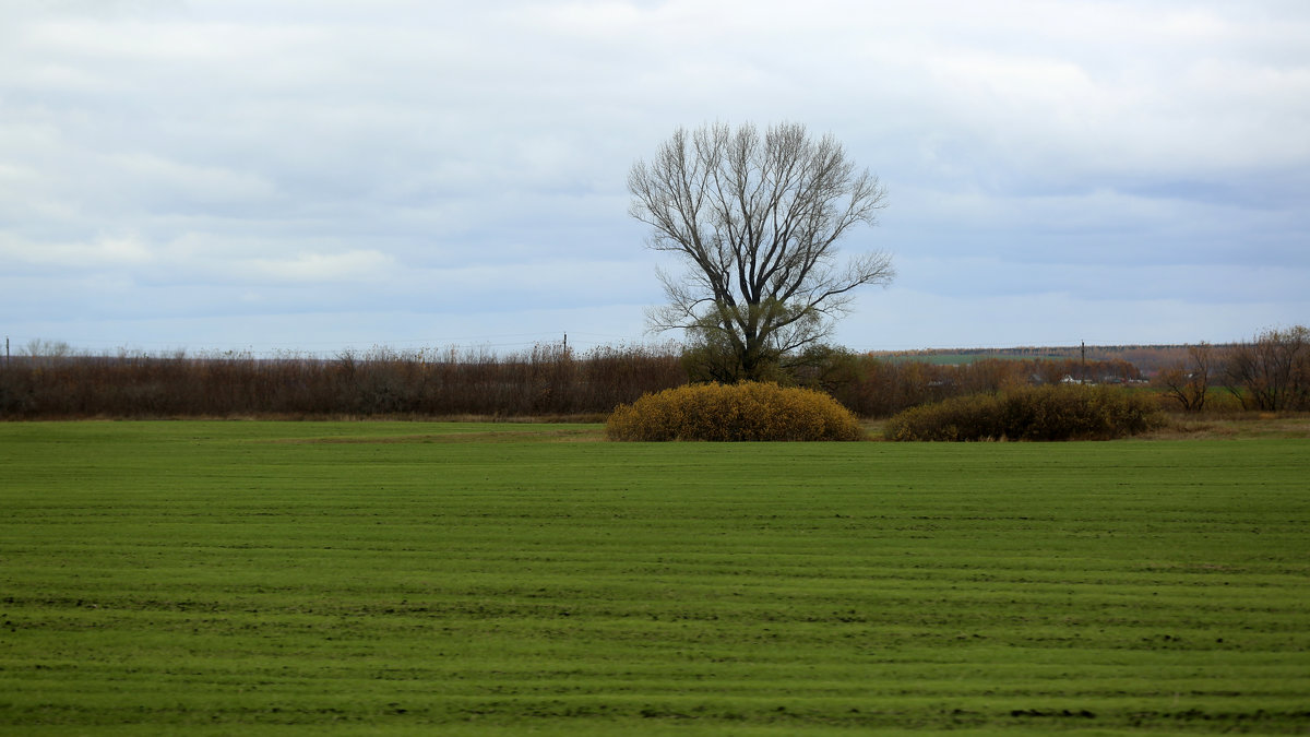 . - Виктор Ян . - Виктор Ян
