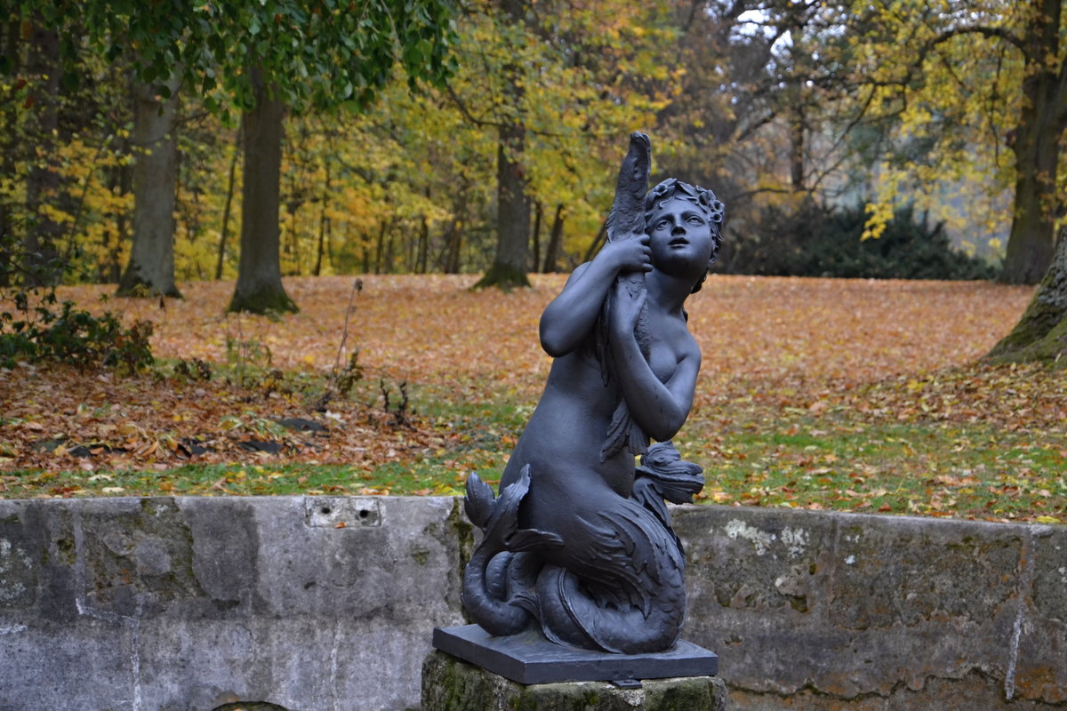 ***** - tamara *****