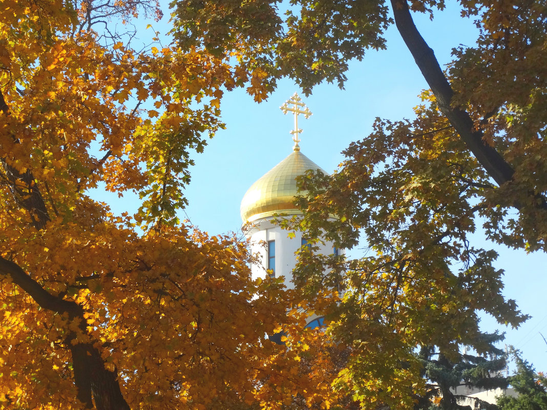 В золоте и купола и деревья... - Тамара (st.tamara)