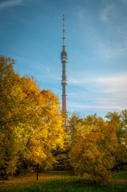 Осень в Останкино - Alexander Petrukhin 