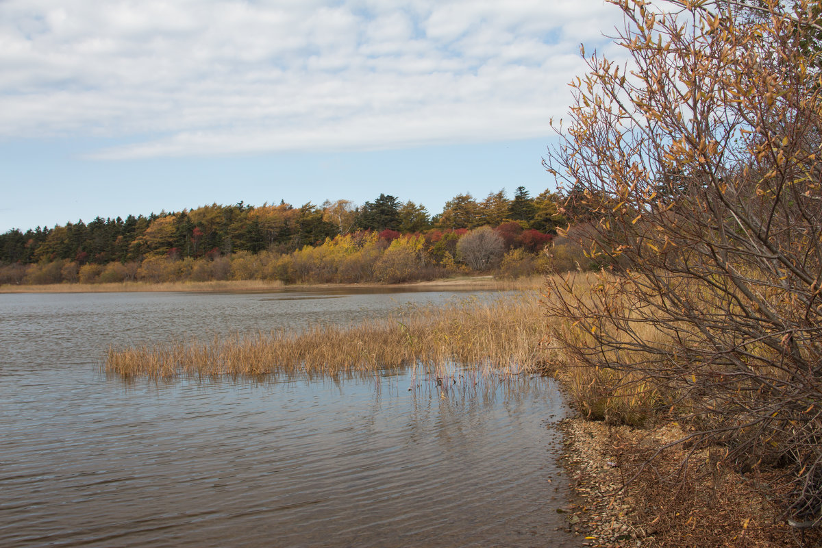 осень - Наталья Литвинчук