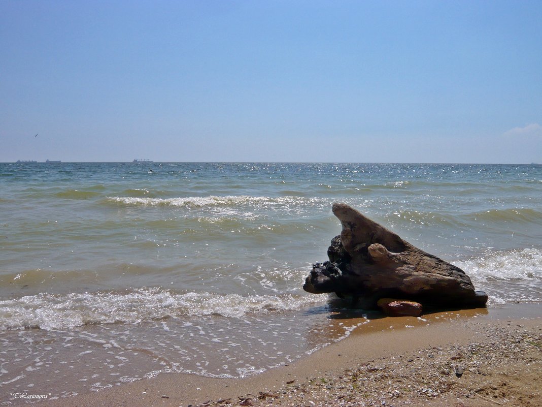 Черное море - Татьяна Ларионова